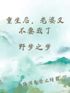 重生后，老婆又不要我了