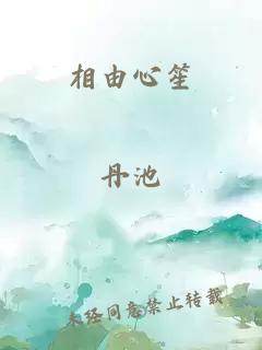 相由心笙